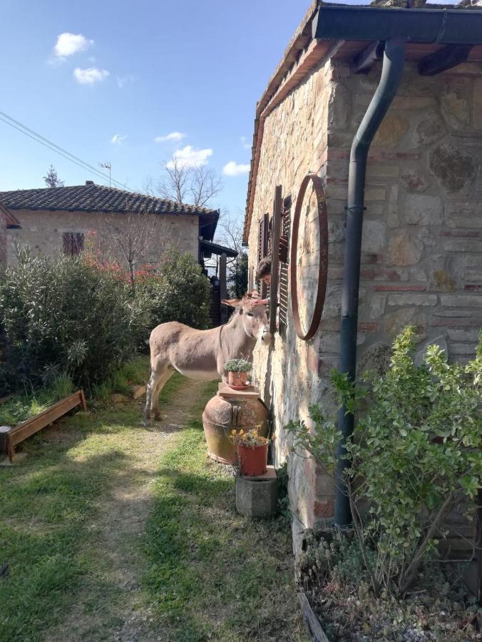 Agriturismo Grecinella Casole dʼElsa Extérieur photo